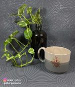 ماگ های سرامیک گلدار - Image 7